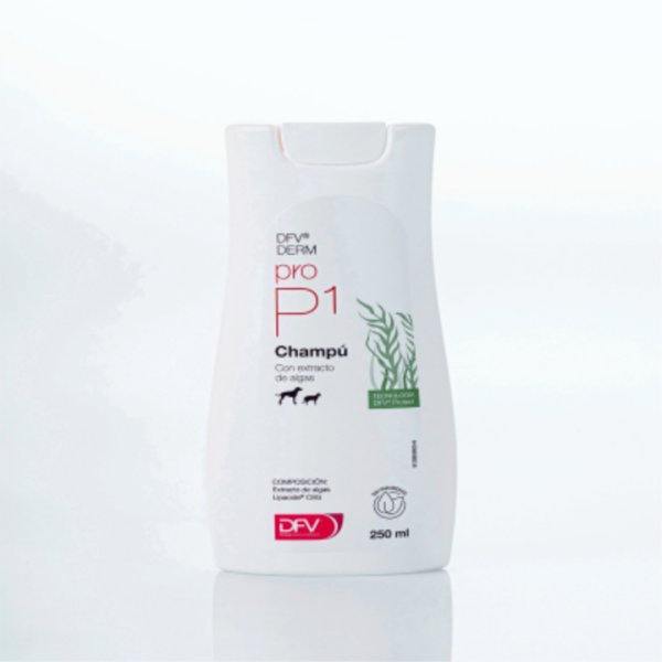 DFV Derm Pro P1 champú