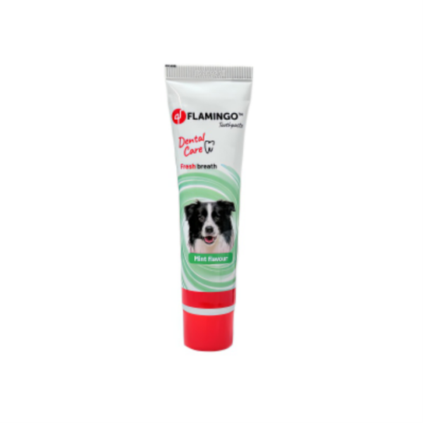 Toothpaste dental care fresh breath